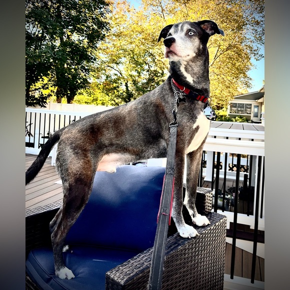 Meet your Posher, Christina - Picture 14 of 16